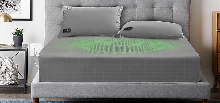 Bird Banner Background